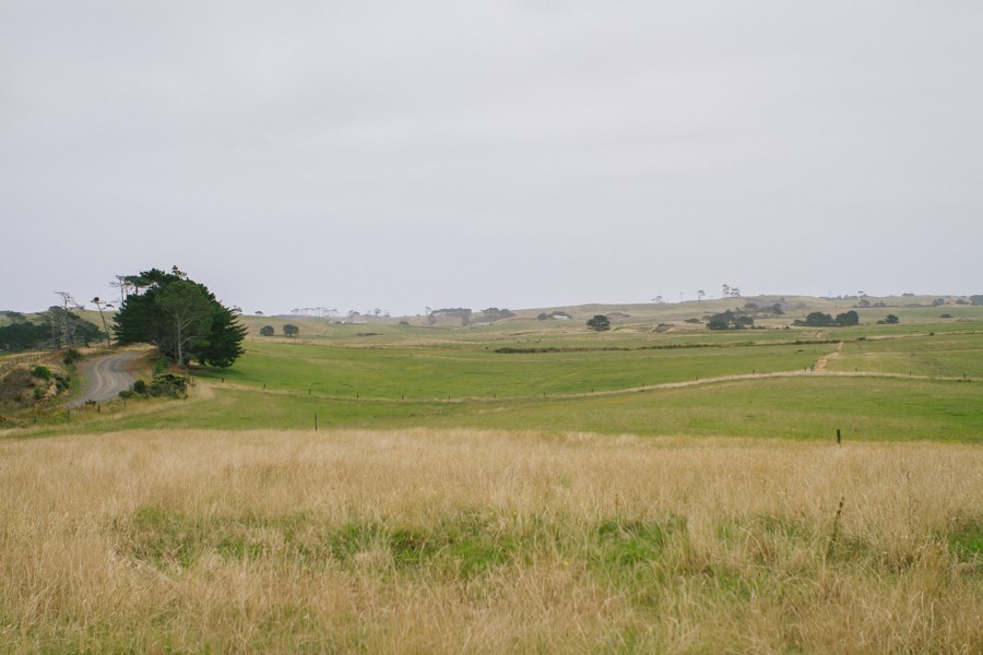 dargaville_wedding_nz_photographer_auckland-97