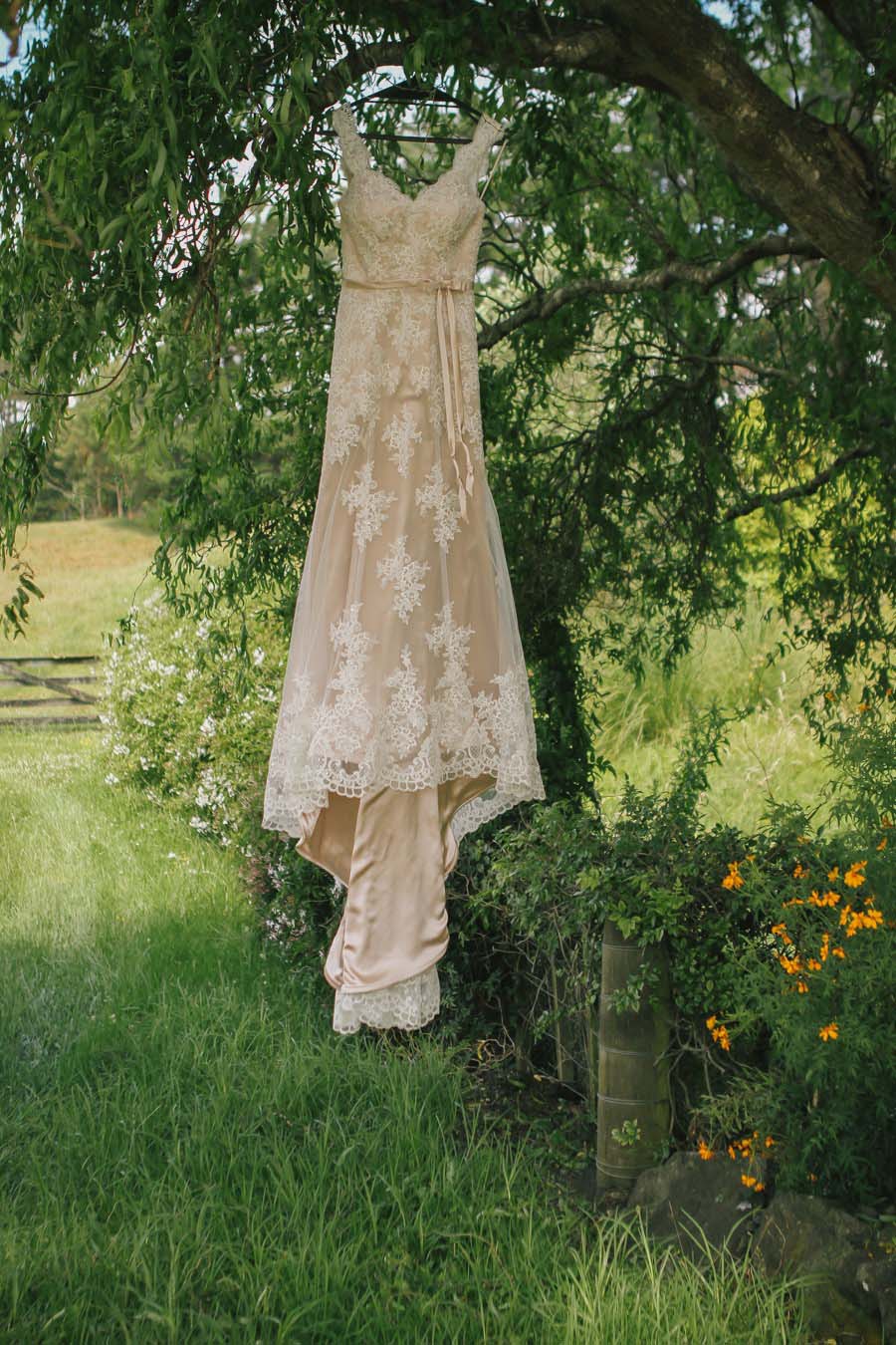 silverdale_wedding_nz_photographer-22