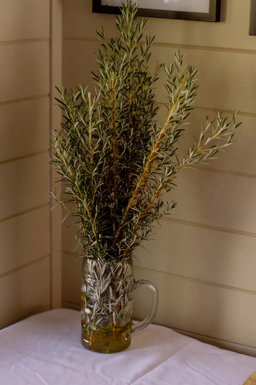 nz_wedding_photographer_castaways_waiuku-1814