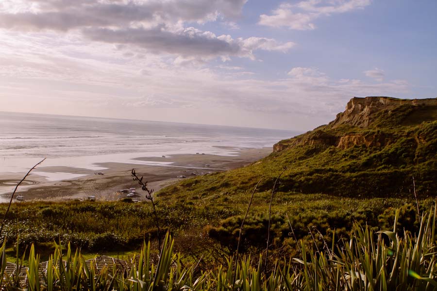 nz_wedding_photographer_castaways_waiuku-2601