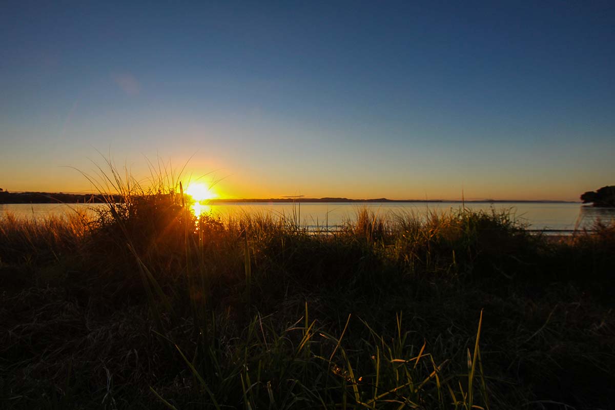 manly_beach_nz_wedding_photographer