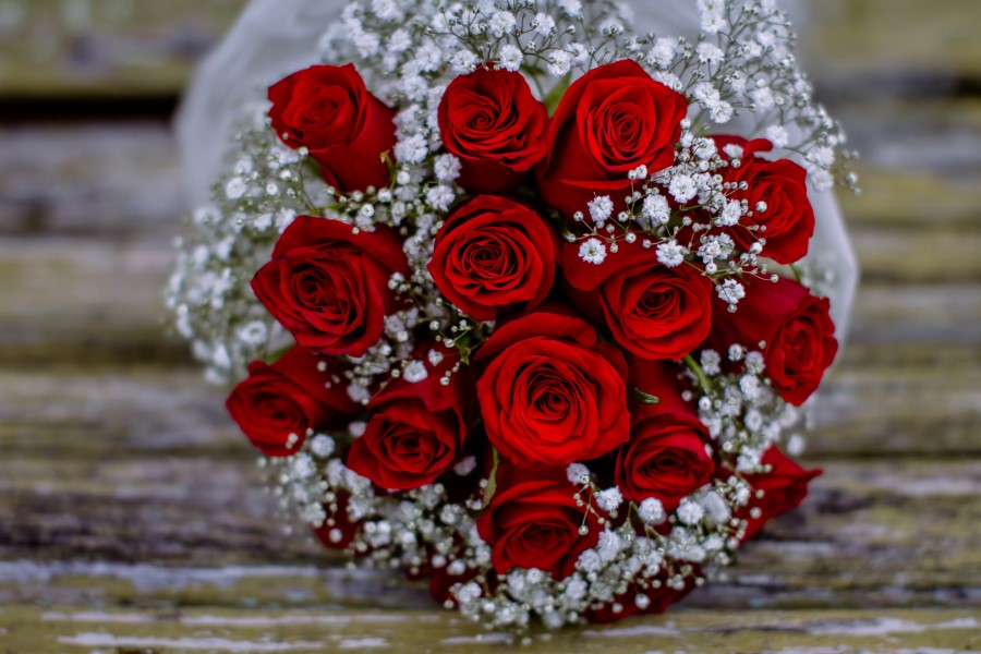 Auckland wedding photographer NZ