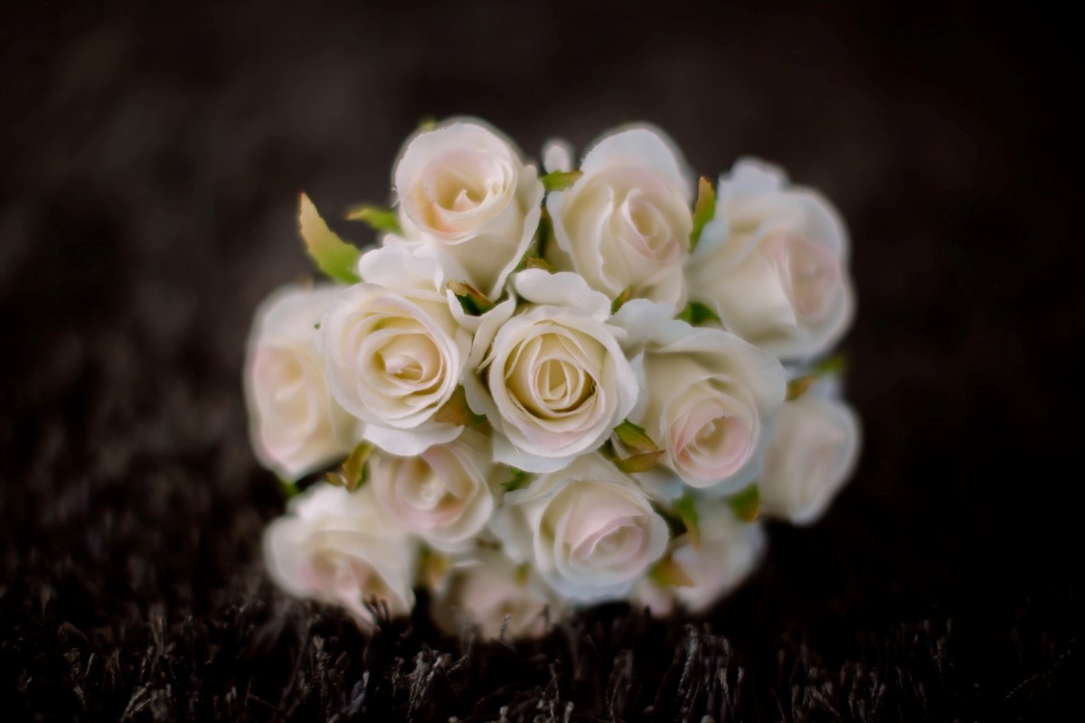 auckland wedding photographer whangaparaoa