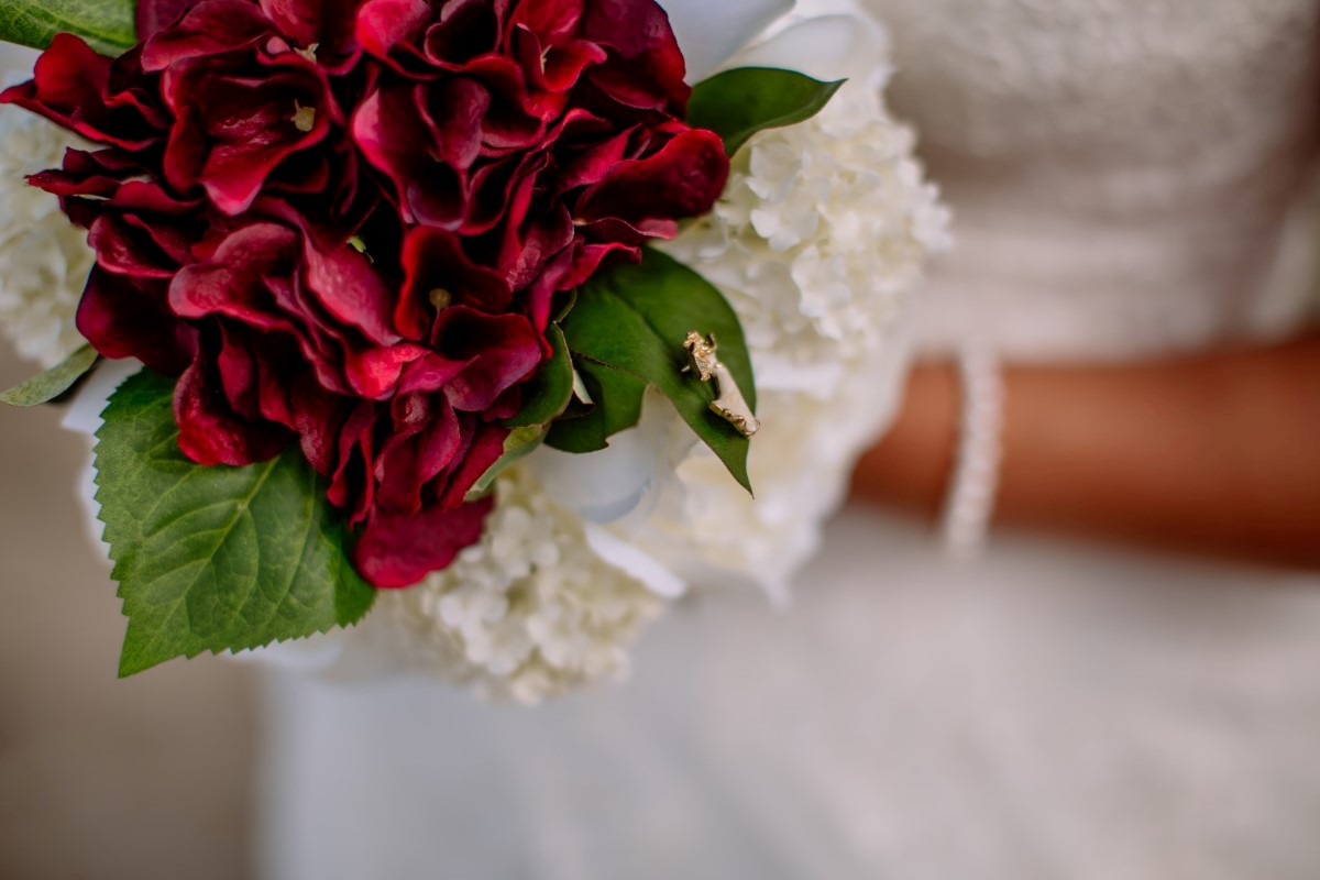 auckland wedding photographer whangaparaoa