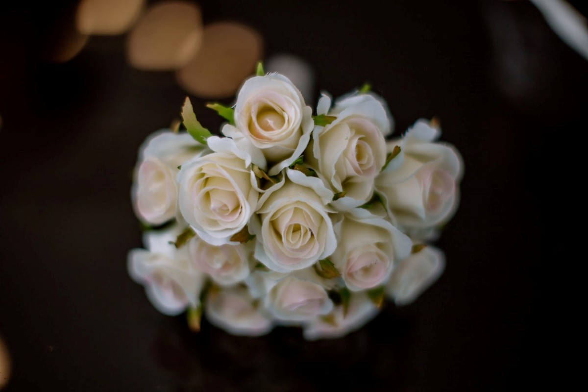 auckland wedding photographer whangaparaoa