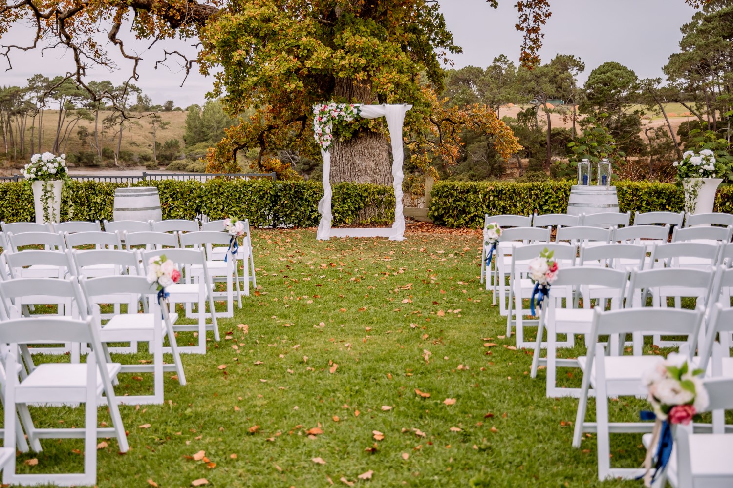 Auckland Wedding Photographer