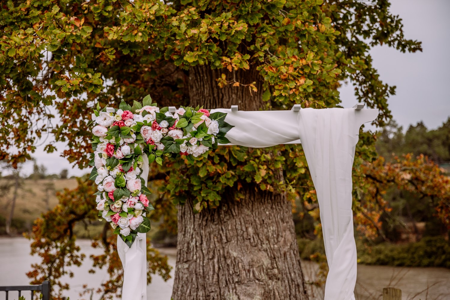 Auckland Wedding Photographer