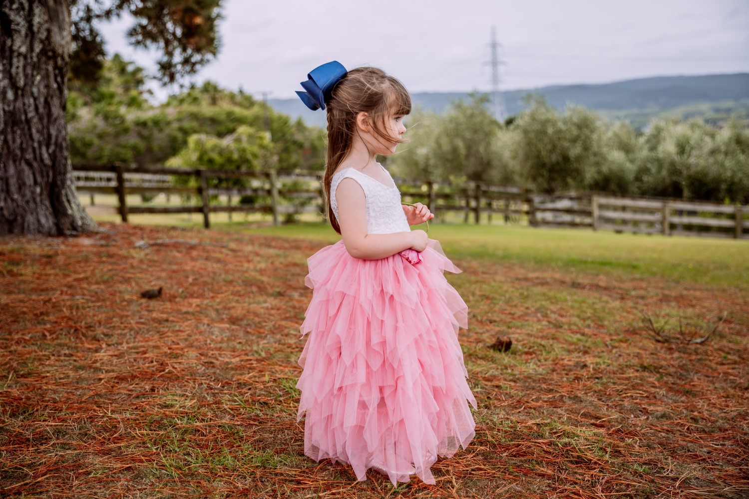 Auckland Wedding Photographer